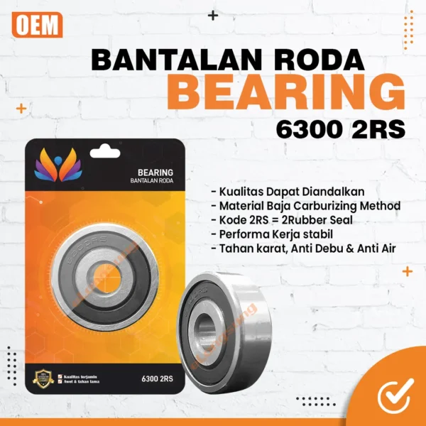 bearing 6300 2RS Design