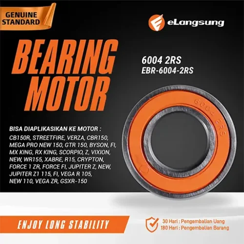 Bearing EBR 6004 2RS