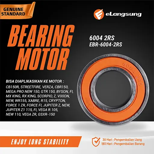 Bearing EBR 6004 2RS