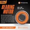 Bearing EBR 6201 2RS