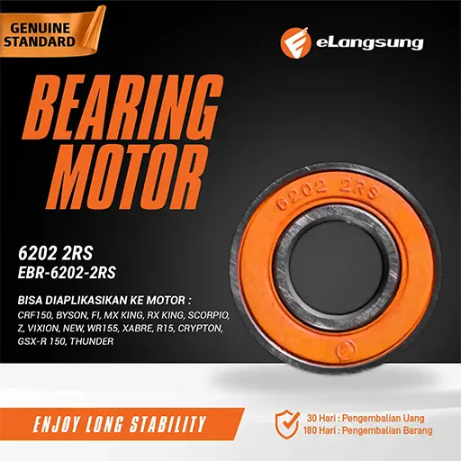 Bearing EBR 6202 2RS