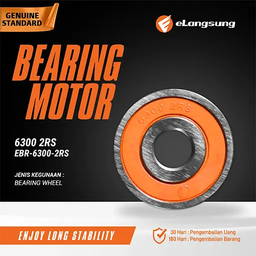 Bearing EBR 6300 2RS