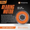 Bearing EBR 6301 2RS