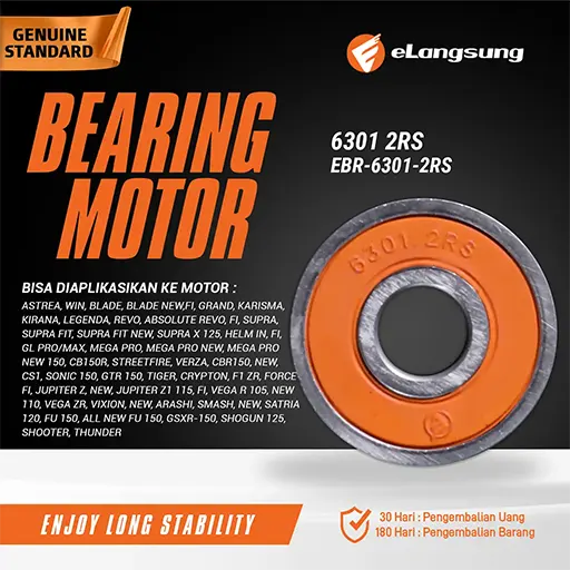 Bearing EBR 6301 2RS