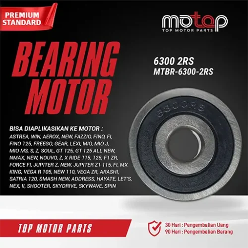 Bearing MTBR 6300 2RS