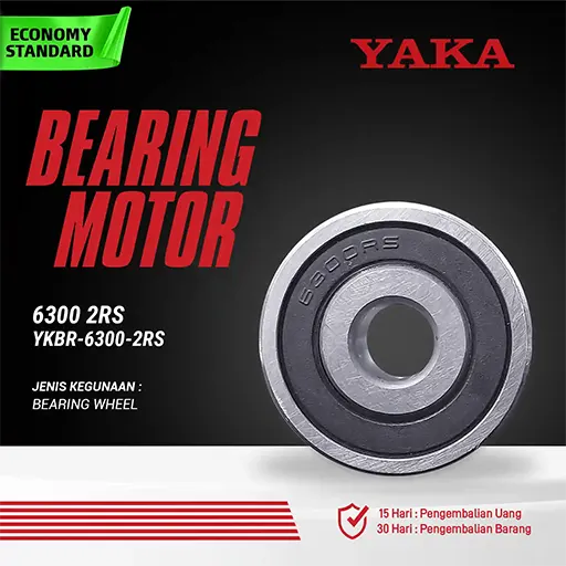 Bearing YKBR 6300 2RS