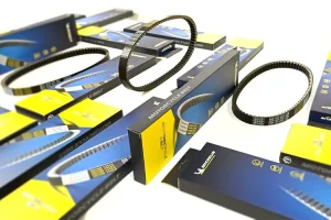 Michelin Luncurkan V-Belt Premium untuk Sepeda Motor - elangsung